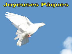 Image Colombe Pâques